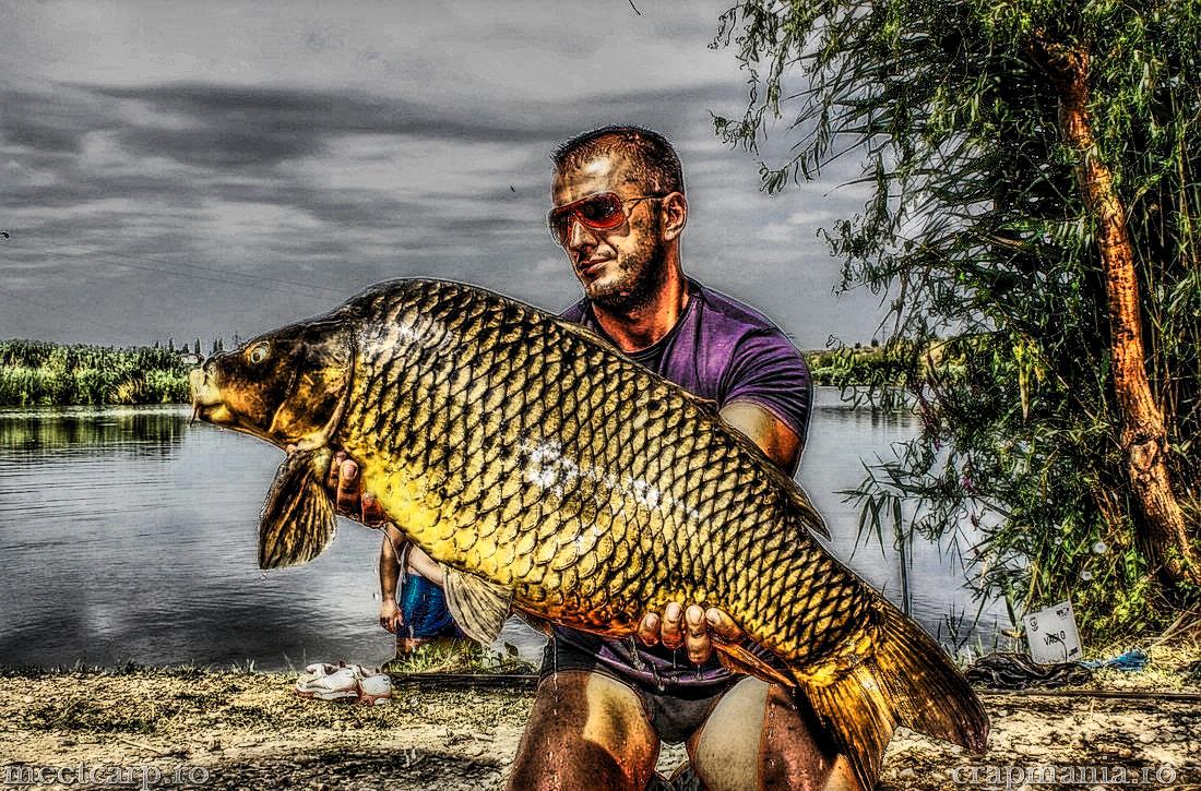 Meet Carp Romanian Awards - 2012 - img6463-hdrmode2.jpg